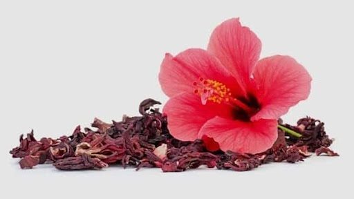 Hibiscus Flowers